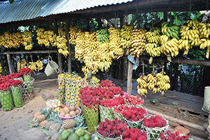 Market in Madagascar